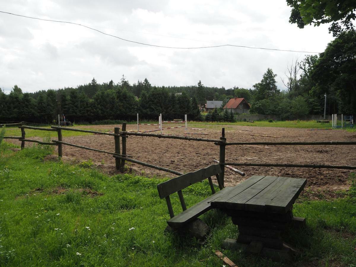 Stadnina Lekwica Zewnętrze zdjęcie