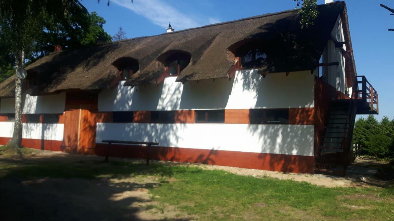Stadnina Lekwica Zewnętrze zdjęcie
